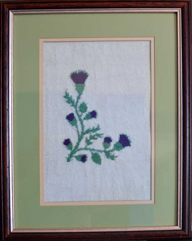 Crossstitch Scottish Thistle