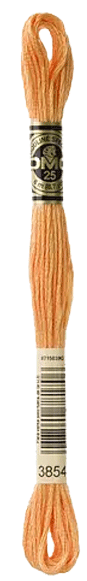 DMC 3854 Skeine Chai Spice Orange